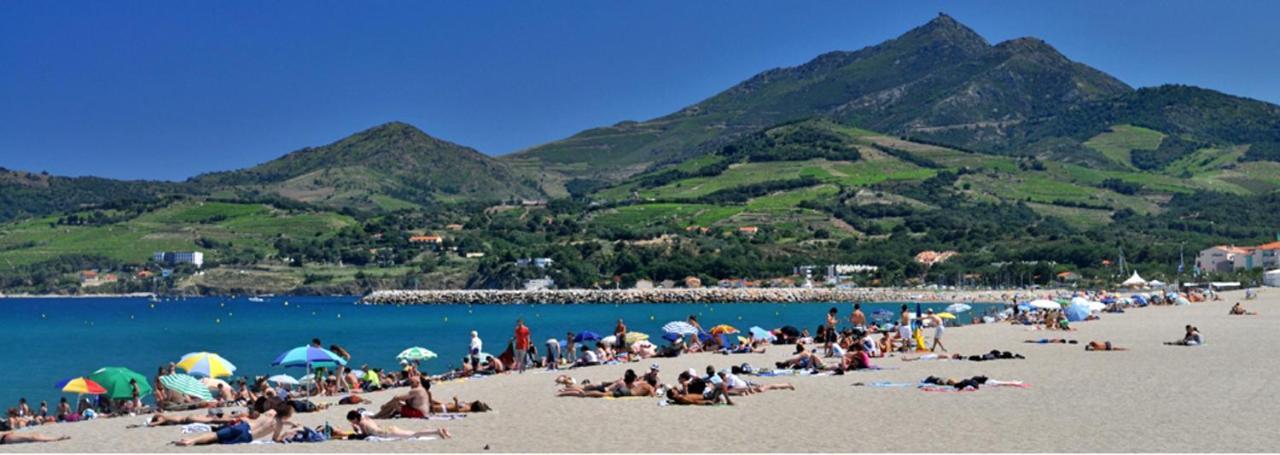 Maison Charmante A Argeles Sur Mer Pres De La Plage Avec Piscine Partagee Dış mekan fotoğraf
